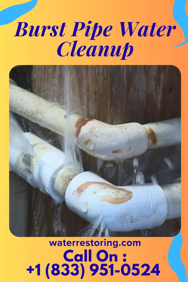Burst Pipe Water Cleanup in Evans Mills, NY