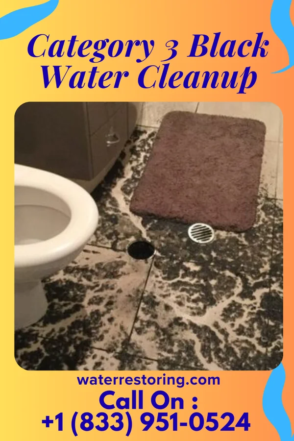 Category 3 Black Water Cleanup in Evans Mills, NY