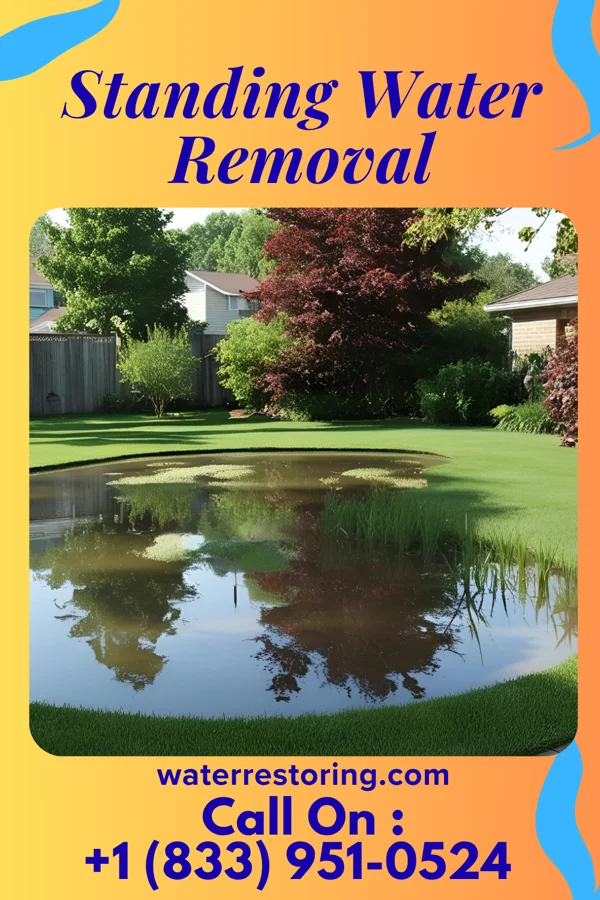 Standing Water Removal in Evans Mills, NY